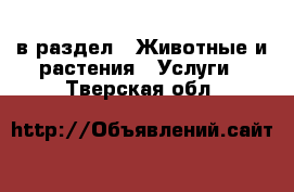  в раздел : Животные и растения » Услуги . Тверская обл.